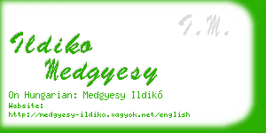 ildiko medgyesy business card